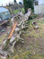 Baumstamm holz kamin gebraucht kaufen  Gevelsberg