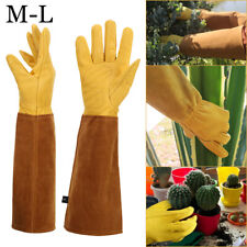 Gardening Gloves & Knee Pads for sale  MANCHESTER