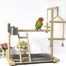 Parrot tree bird for sale  Shipping to Ireland