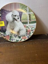 Collectors poodle plate for sale  LITTLEHAMPTON