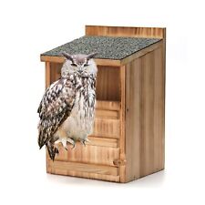 Owl house screech for sale  USA