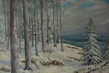 Winter snowy forest for sale  Canada