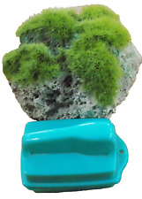 Aquarium green moss for sale  UK