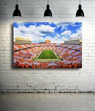 Tennessee vols neyland for sale  Westwood