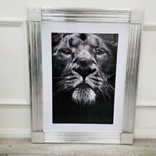 Black white big for sale  OLDHAM