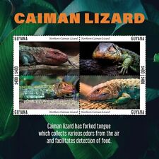 Guyana 2020 caiman for sale  Brooklyn