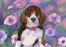 Orig aceo beagle for sale  BRISTOL