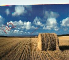 Picture postcard straw for sale  NEWCASTLE UPON TYNE