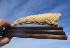 iguana for sale  Shipping to Ireland