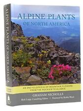 Alpine plants north for sale  UK