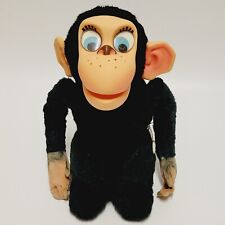 Chester chimp animal for sale  Indianapolis