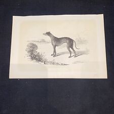 1860 greyhound antique for sale  LONDON