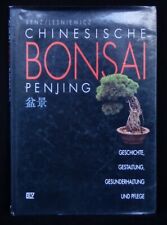 Chinesische bonsai penjing gebraucht kaufen  Knielingen