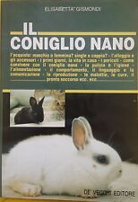 Coniglio nano elisabetta usato  Torino