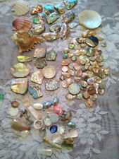 Large lot abalone for sale  Mapleton