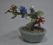 Oriental bonsai jade for sale  KILMARNOCK