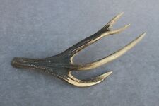 RED DEER ANTLER PART (HORN, RUSTIC, KNIFE,TROPHY,TAXIDERMY, CHEW, HUNTING), used for sale  Shipping to South Africa