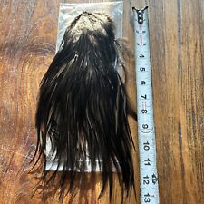 Dark dun rooster for sale  Hutto