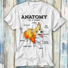 Anatomy corgi pet for sale  WALTON-ON-THAMES