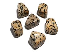 Dalmatiner jaspis trommelstein gebraucht kaufen  Schwabmünchen