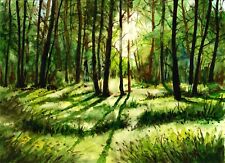 Original sunlight forest for sale  Shipping to Ireland