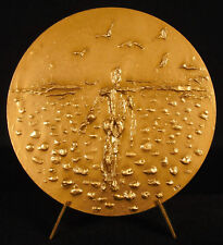 1975 Yencesse Dragonfly Ecology Medal 80mm Dragonfly Odonata Insect Medal for sale  Shipping to South Africa