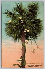 Postcard Palm Tree Entwined with Night Blooming Cereus, Florida c1910 U149 for sale  Shipping to South Africa