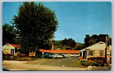 Postcard asheville rhododendro for sale  Greensburg
