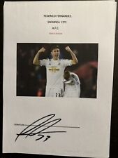 Federico fernandez swansea for sale  CARDIFF