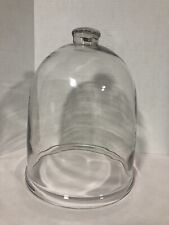 Large cloche dome for sale  Tallahassee