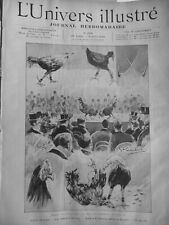 1899 animaux coq d'occasion  Saint-Etienne