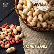 Sementes de amendoim Jumbo Bailey Virginia | Para plantio de sementes de ervilha do Ceilão 2024 comprar usado  Enviando para Brazil