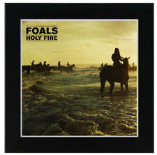 Foals holy fire for sale  LINCOLN