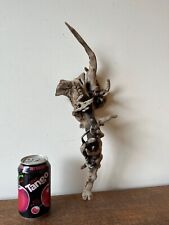Driftwood piece root for sale  ROCHDALE