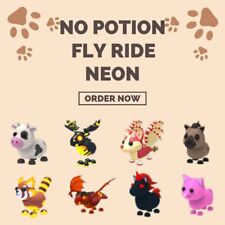 Usado, No Potion - R R Ride - FR Fly Ride - NFR Neon - MFR Mega Neon | Adopt Me comprar usado  Enviando para Brazil