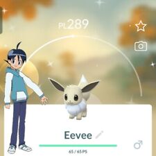 Pokémon shiny eevee usato  Ferrara