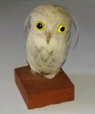 White feather owl d'occasion  Expédié en Belgium