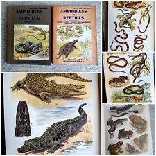 Petit atlas amphibiens d'occasion  Villepreux