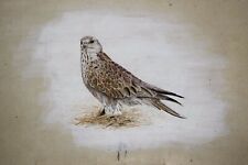 Hawk bird handmade for sale  Shipping to Canada