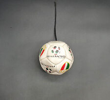 Mini pallone mondiali usato  Palermo