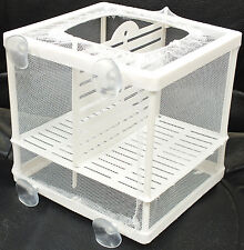 Aquarium fish tank for sale  SPALDING