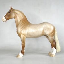Peter stone horse for sale  MALMESBURY