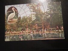Cartão postal interior da gaiola voadora, parque zoológico de Nova York (não publicado) comprar usado  Enviando para Brazil