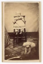 FOTO CDV CRIANÇA EM CADEIRA ALTA POODLE CACHORRO MÃE ESCONDIDA DÉCADA DE 1860 comprar usado  Enviando para Brazil