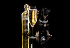 Bling Bling Absolute Vodka Diamonds e Vodka A3 Art Poster Print comprar usado  Enviando para Brazil