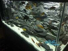 Aquarium fish tank for sale  SWANSEA