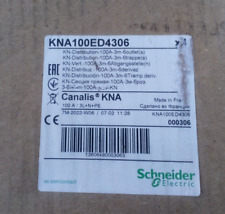 Schneider canalis 100amp usato  Spedire a Italy