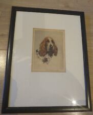 Coloured etching spaniel for sale  LIVINGSTON
