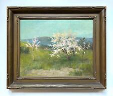Amedee joullin spring for sale  American Canyon