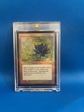 Magic black lotus for sale  Pooler